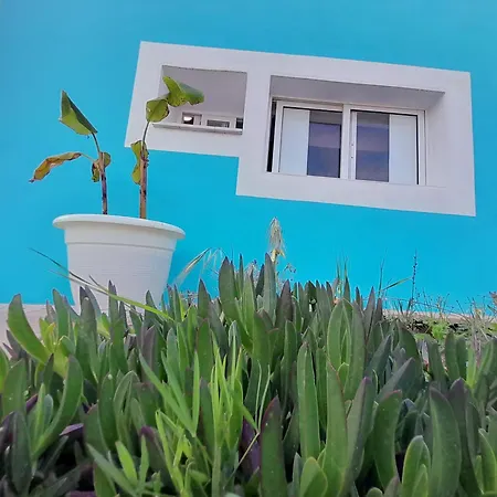 Estudio Dominicana In Gale With Garden And Parking Place * Албуфейра