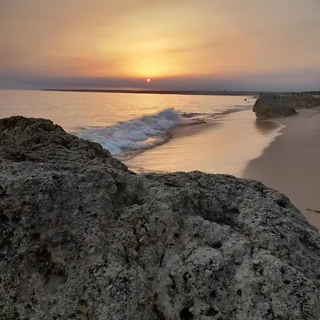 Estudio Dominicana In Gale With Garden And Parking Place Appartamento *